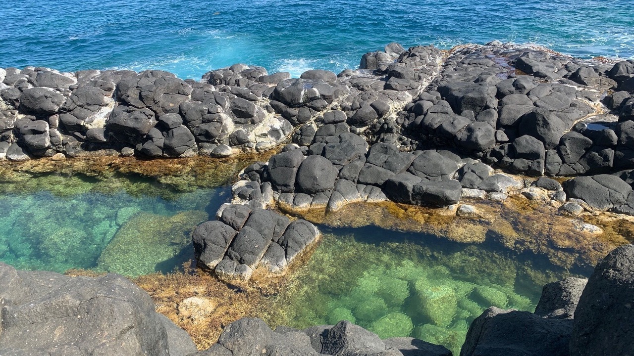 Photo of Others in Princeville