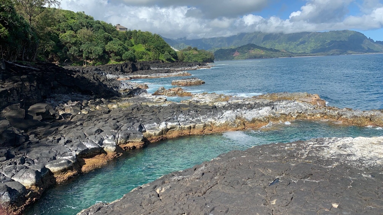 Photo of Others in Princeville