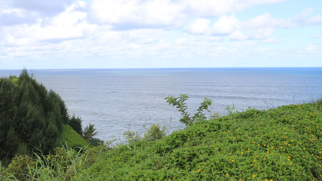 Photo of Others in Princeville