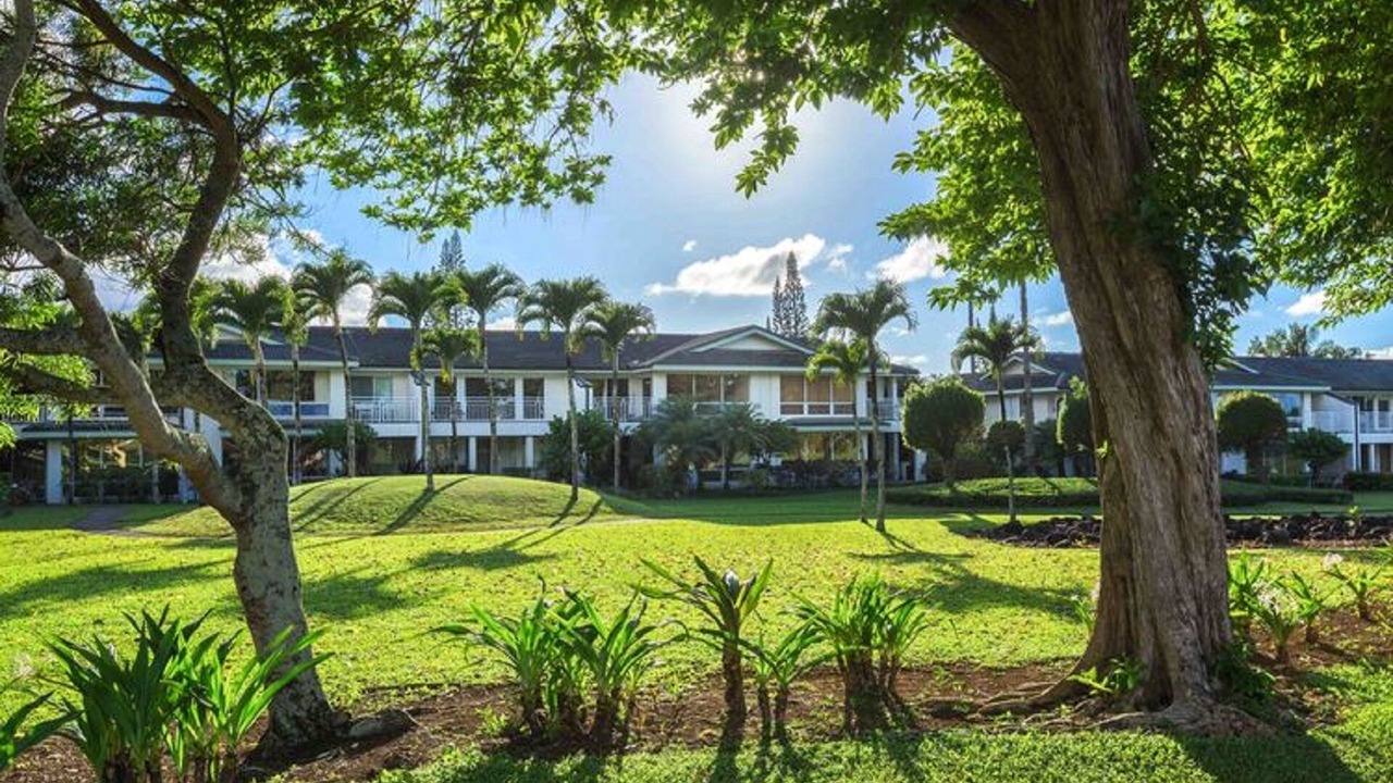 Photo of Outdoor in Princeville