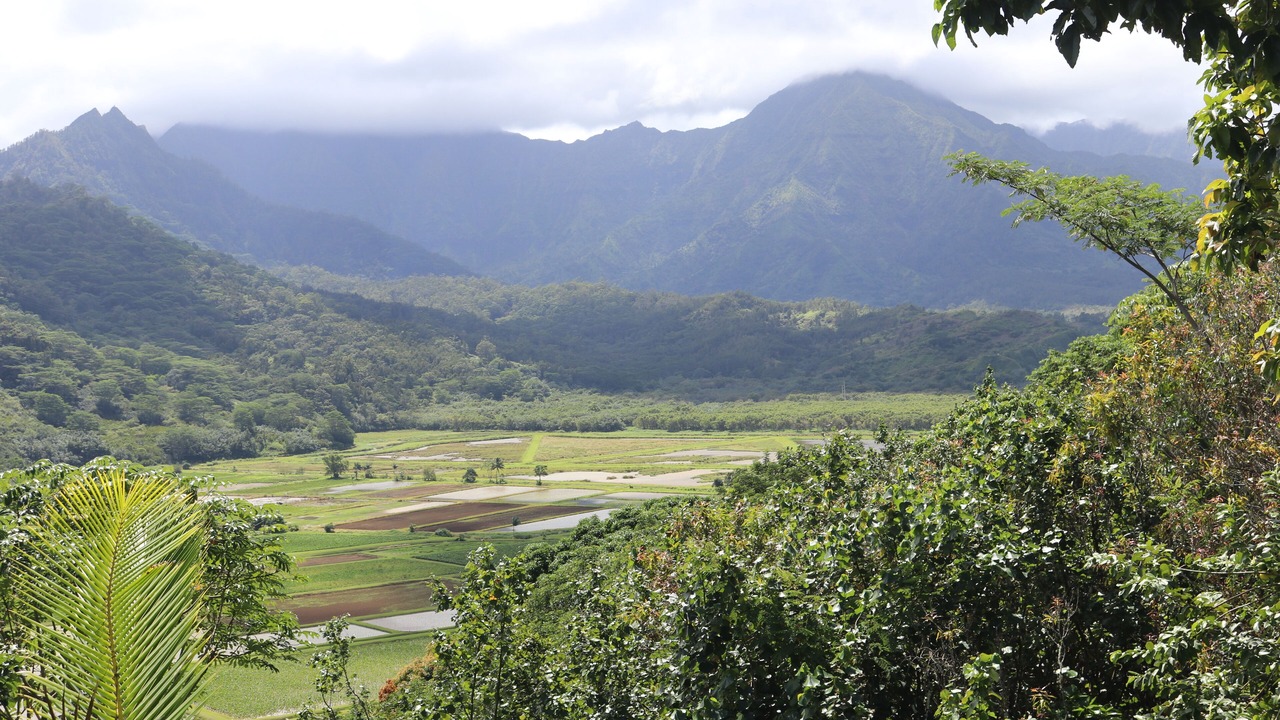 Photo of Others in Princeville