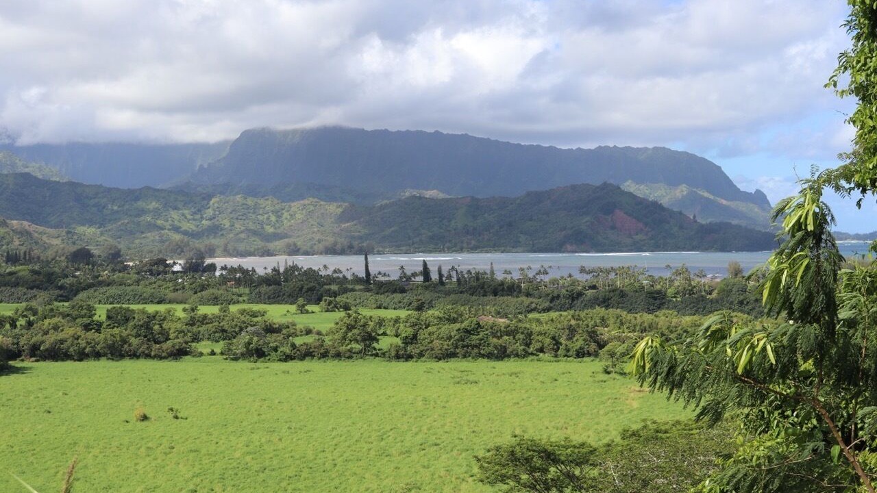 Photo of Outdoor in Princeville