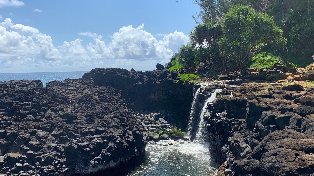 Photo of Others in Princeville