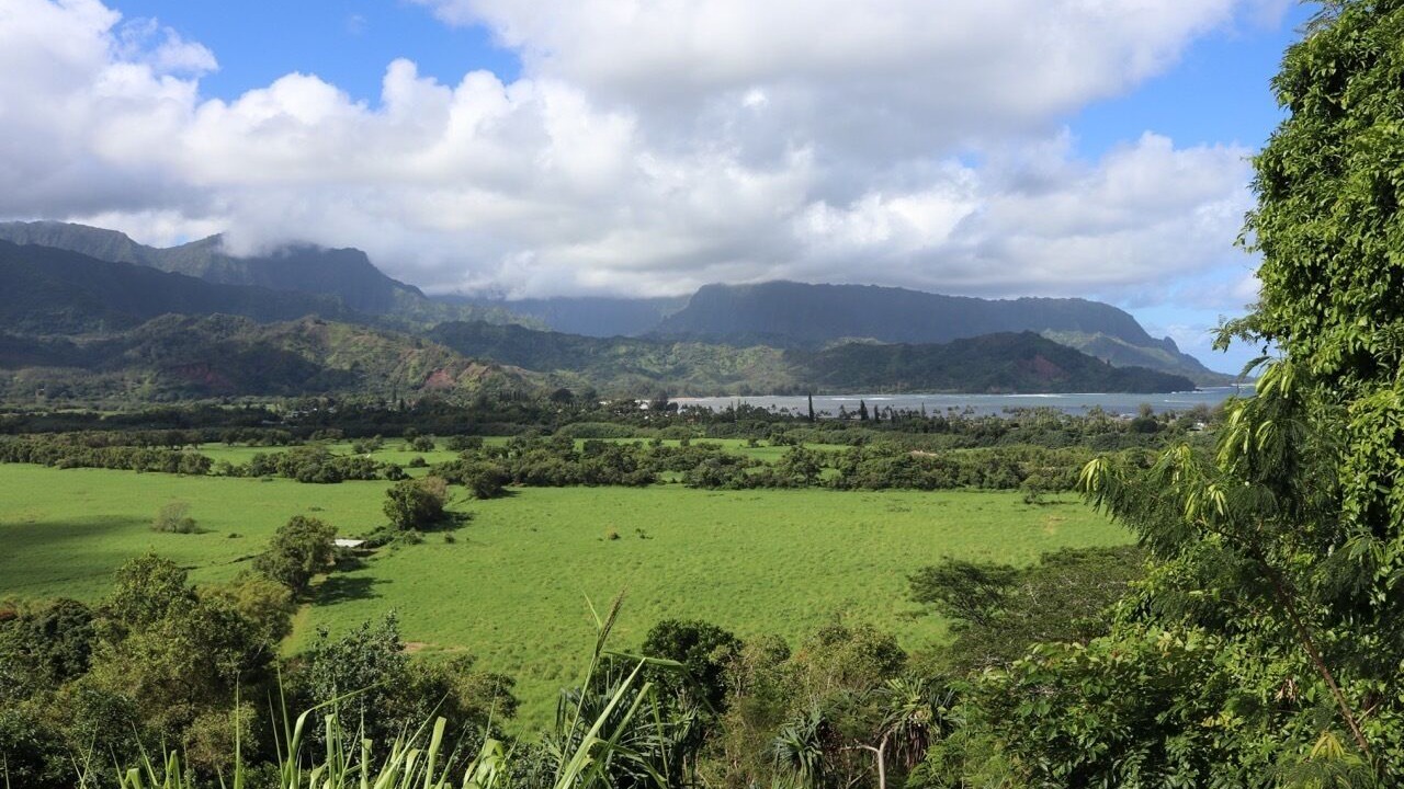 Photo of Others in Princeville