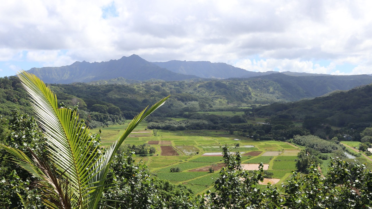 Photo of Others in Princeville