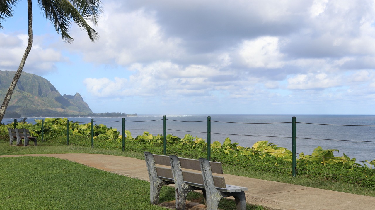 Photo of Others in Princeville