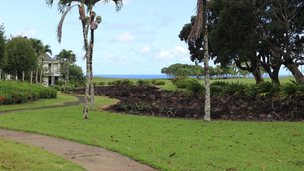 Photo of Others in Princeville