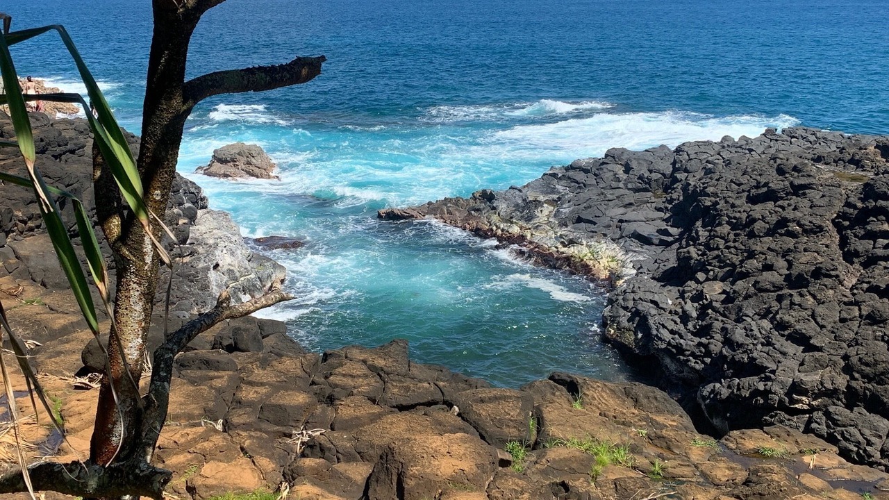 Photo of Others in Princeville