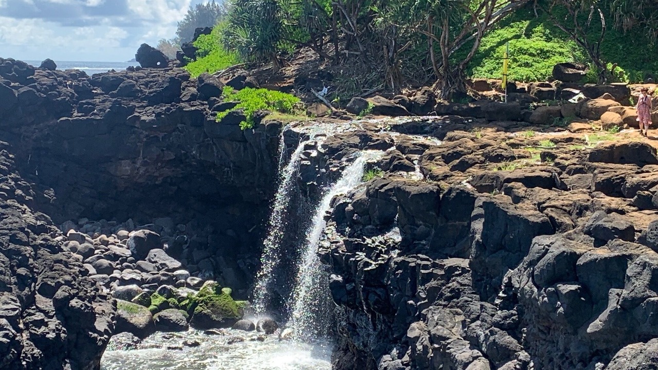 Photo of Others in Princeville