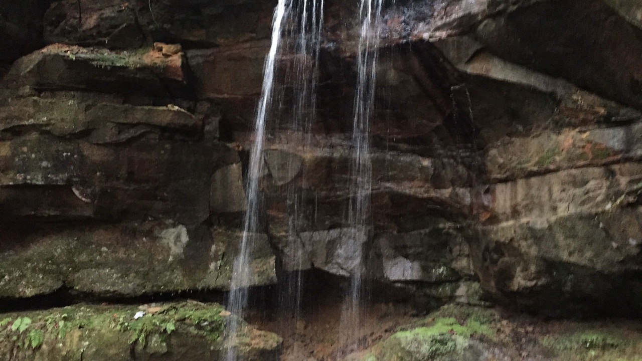 Photo of Others in Campton