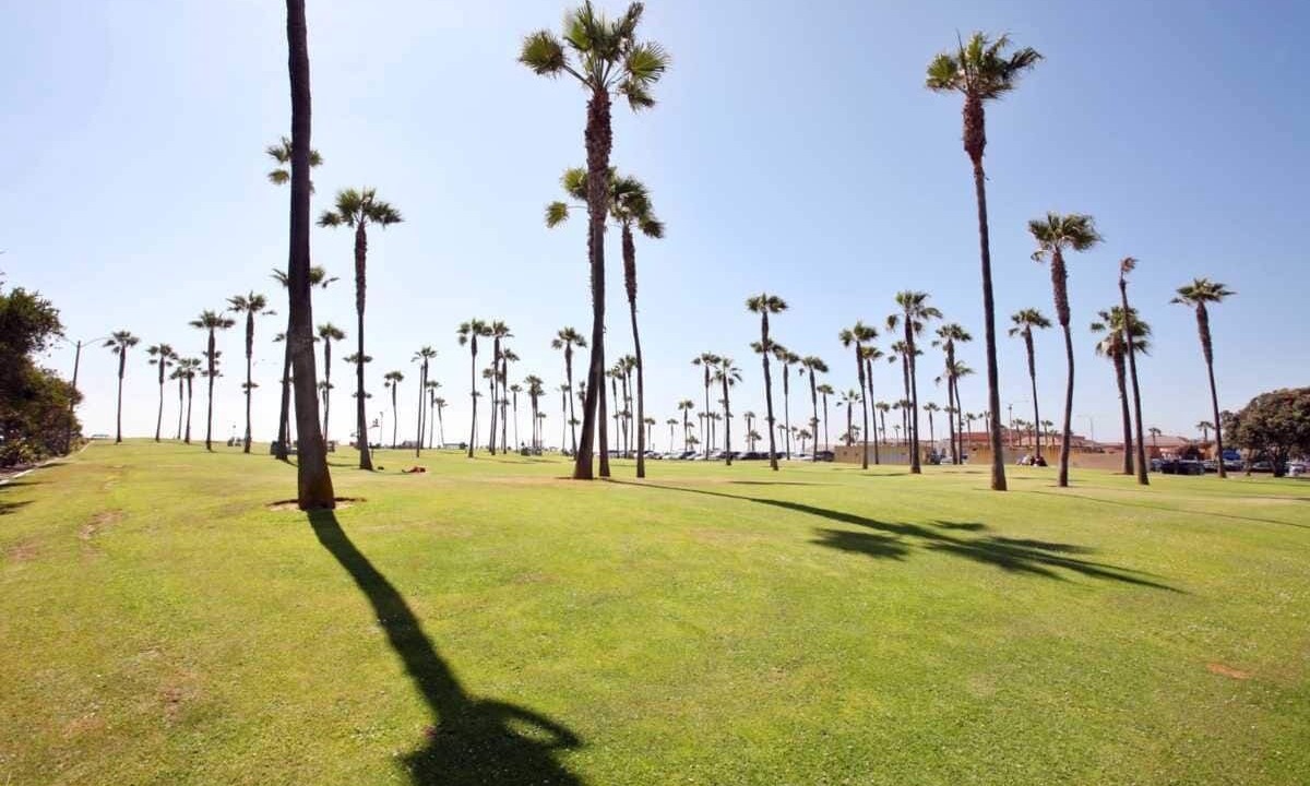 Photo of Outdoor in South Mission Beach