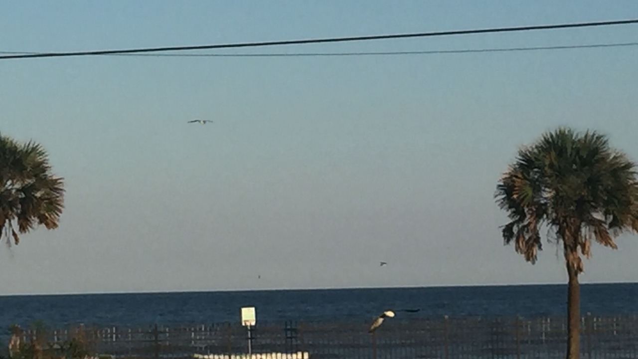 Photo of Others in Galveston