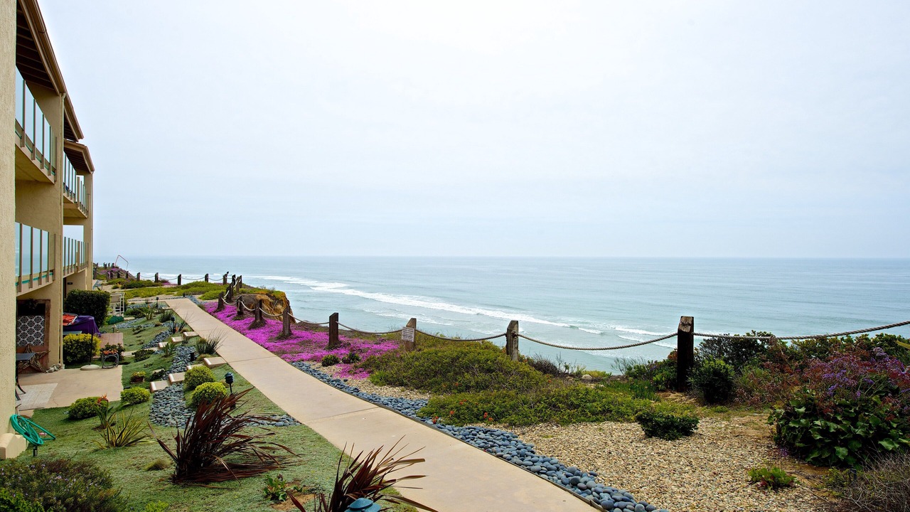 Photo of Others in Solana Beach