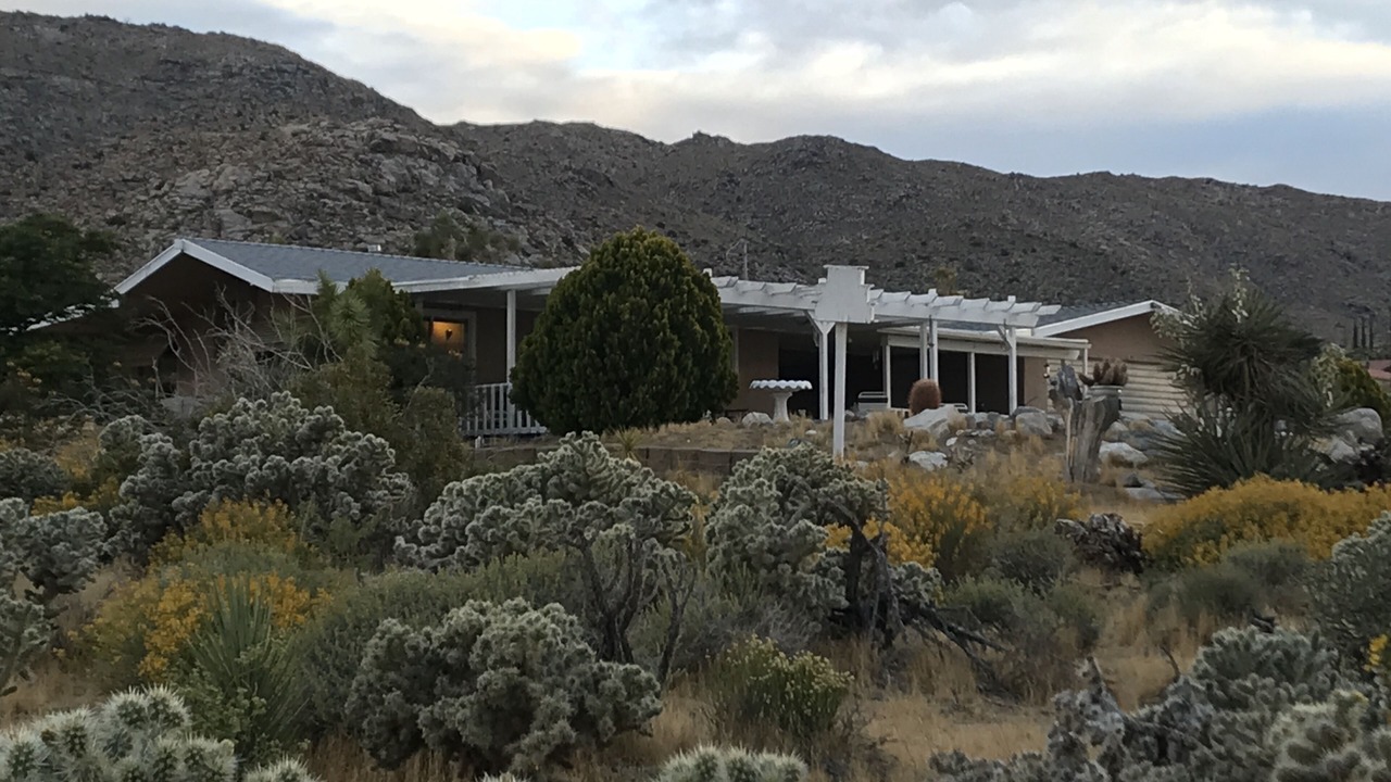 Photo of Others in Joshua Tree