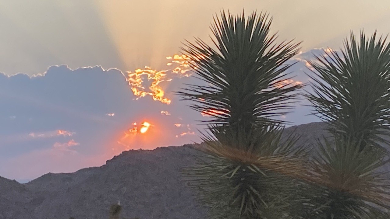 Photo of Others in Joshua Tree