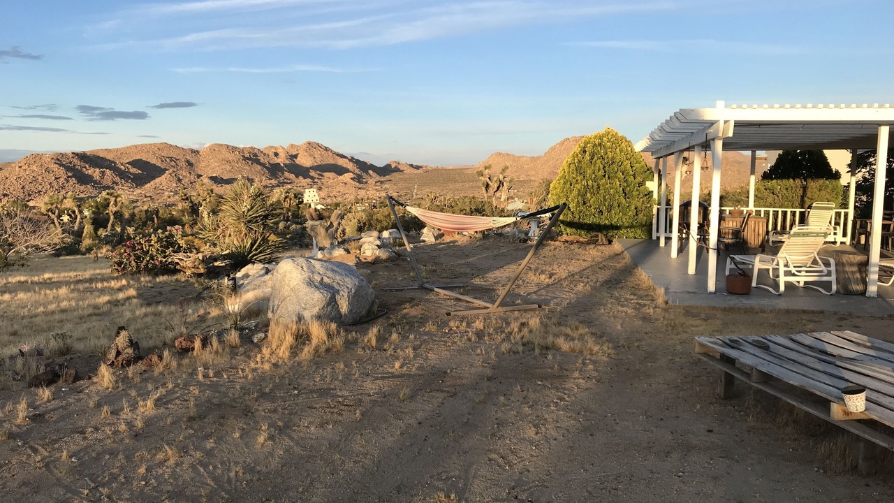 Photo of Others in Joshua Tree
