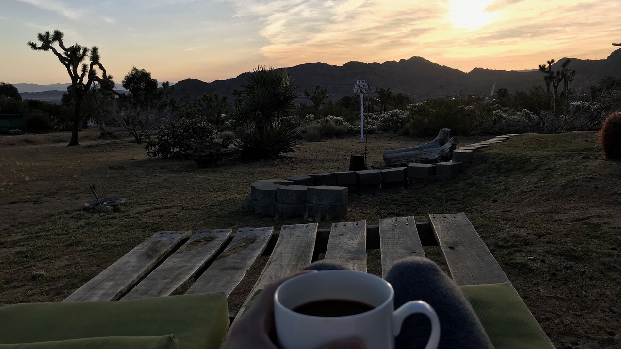 Photo of Others in Joshua Tree