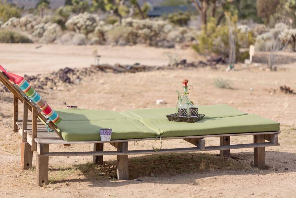 Photo of Others in Joshua Tree