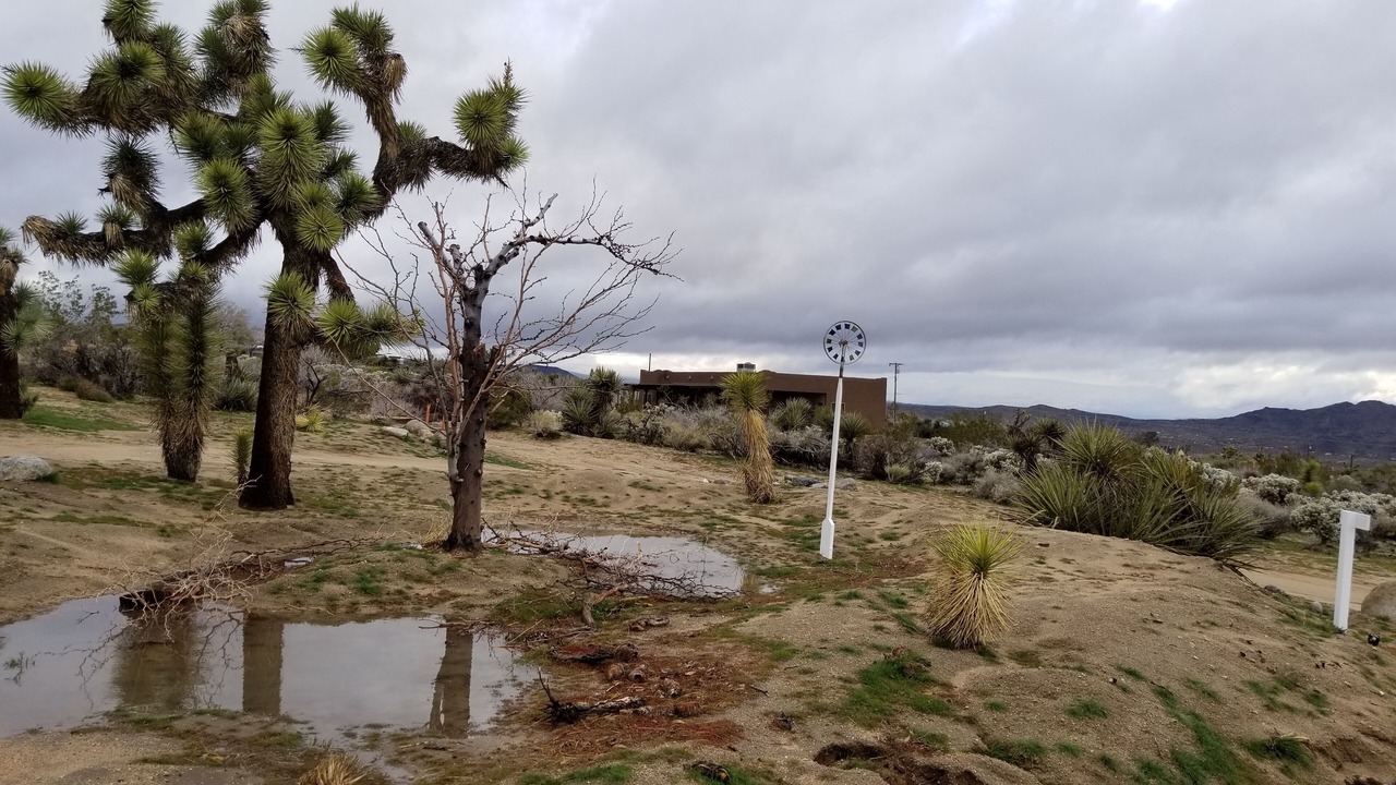 Photo of Others in Joshua Tree