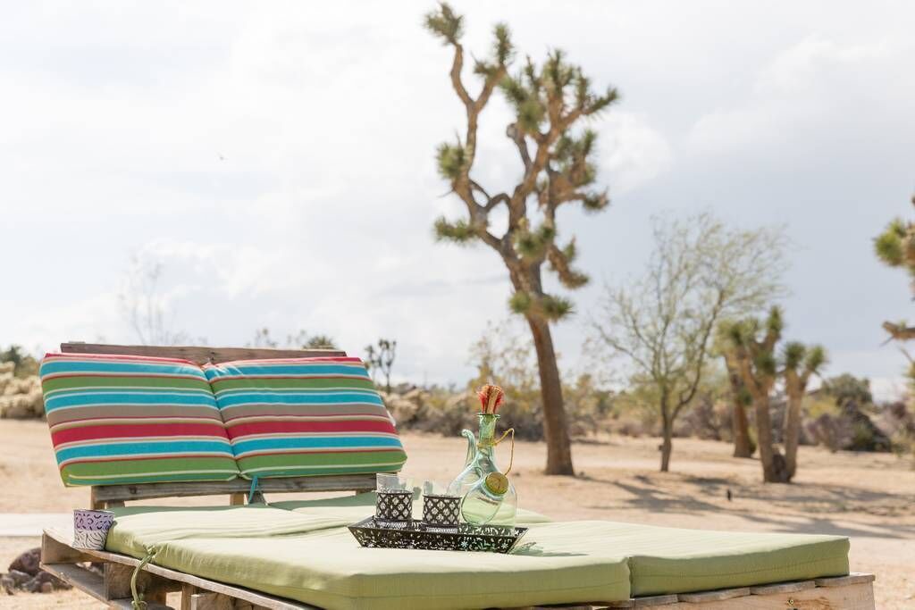 Photo of Others in Joshua Tree