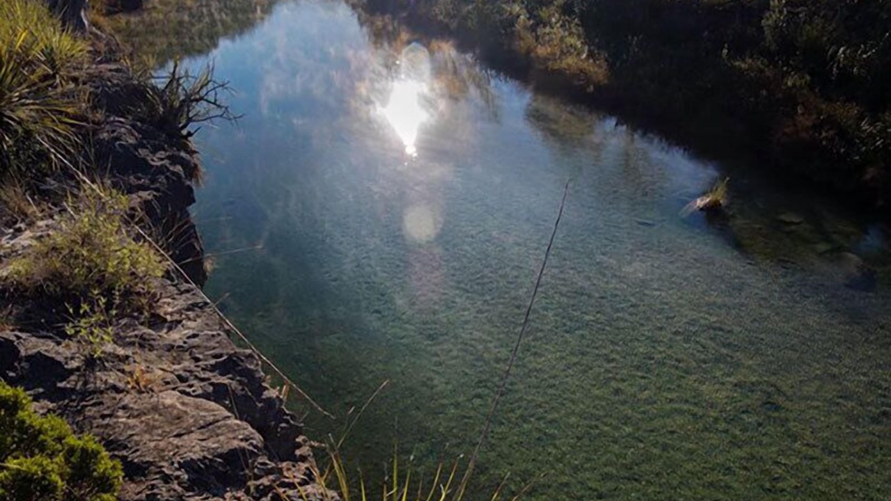 Photo of Others in Dripping Springs