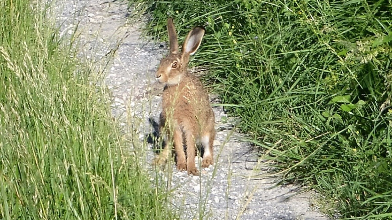 Photo of Others in Rouffignac-Saint-Cernin-de-Reilhac
