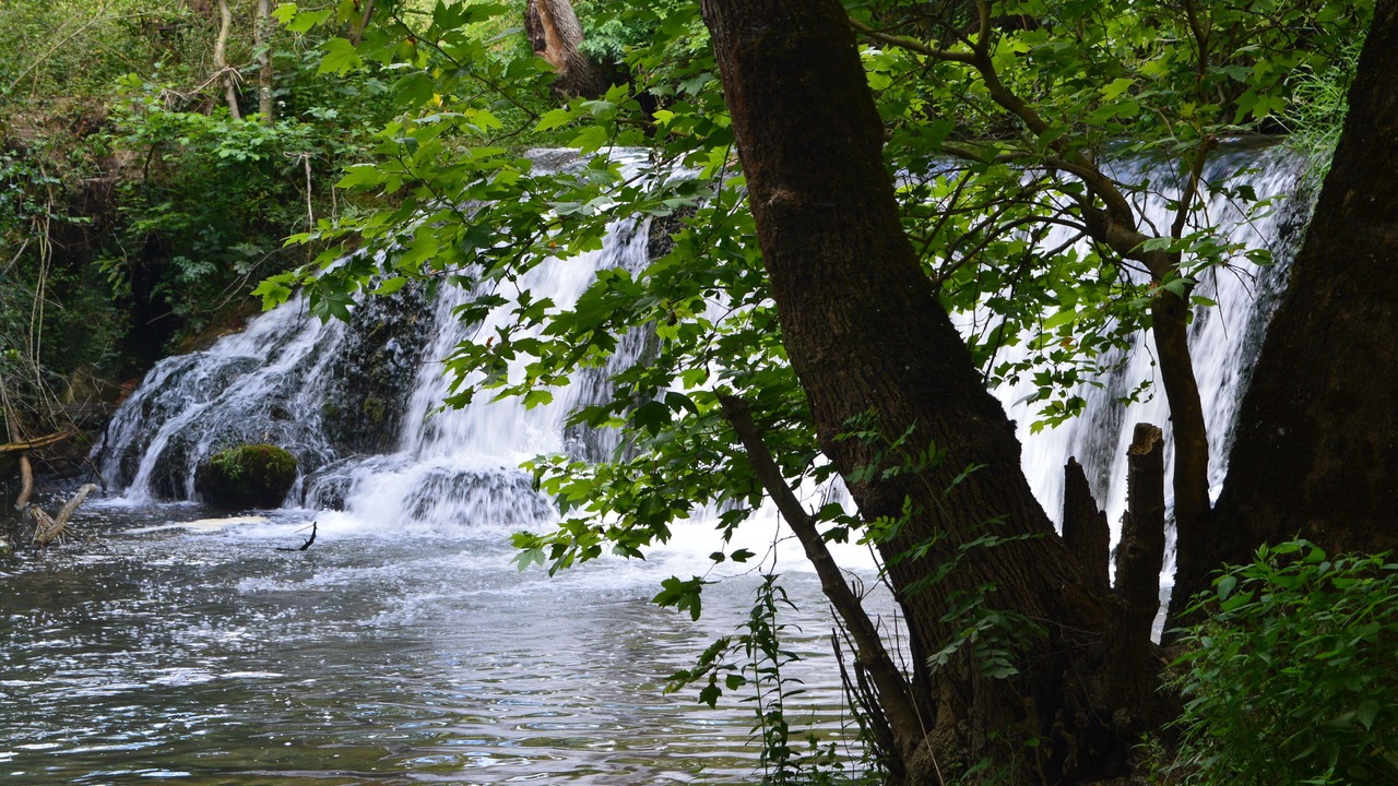 Photo of Others in Rouffignac-Saint-Cernin-de-Reilhac