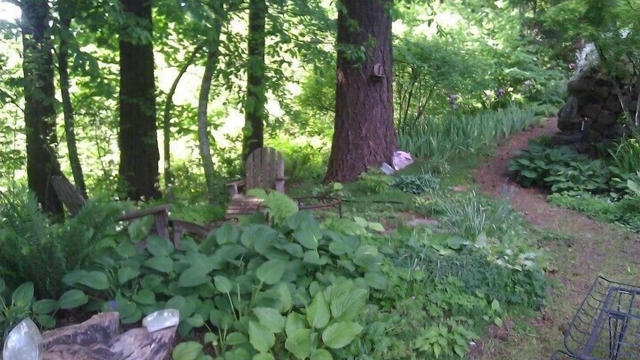 Photo of Others in Portland