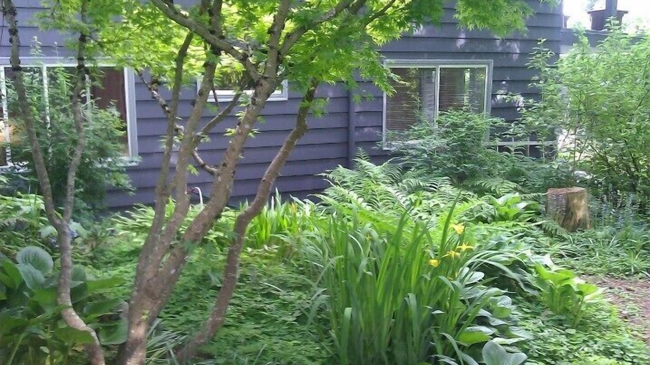 Photo of Others in Portland