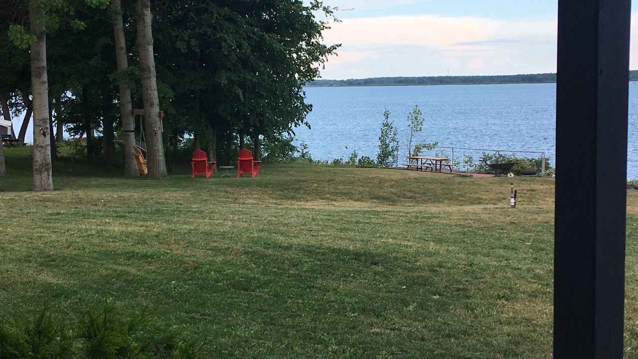Photo of Outdoor in Picton