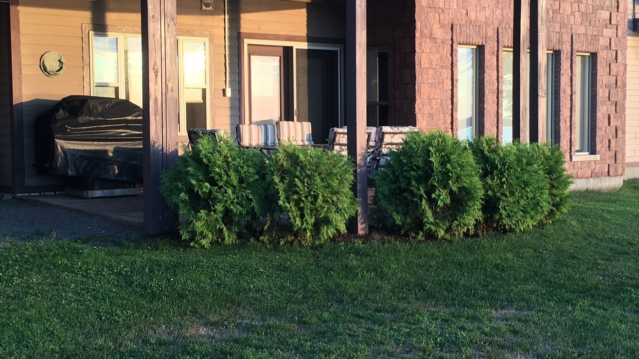 Photo of Patio Balcony in Picton