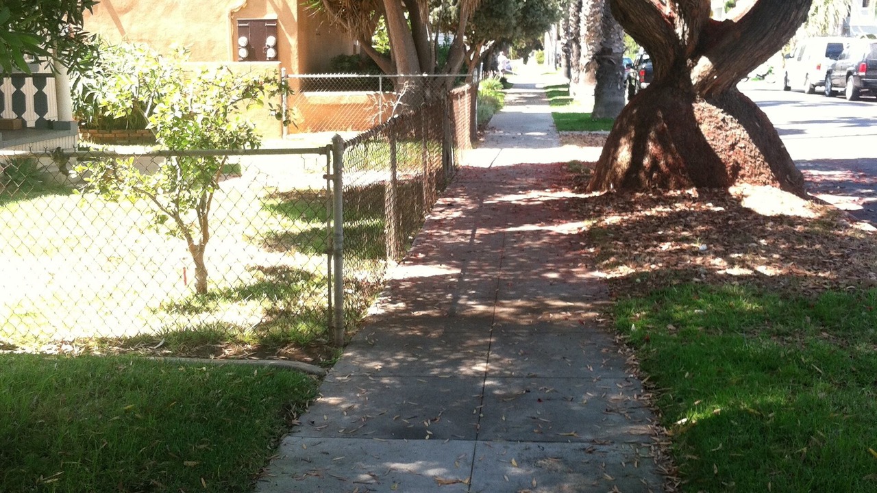 Photo of Others in Townsite