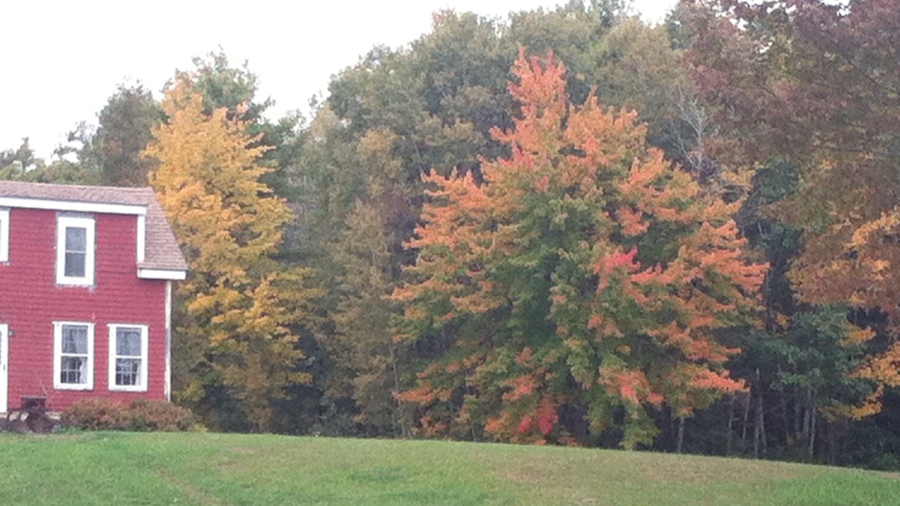 Photo of Others in Warren