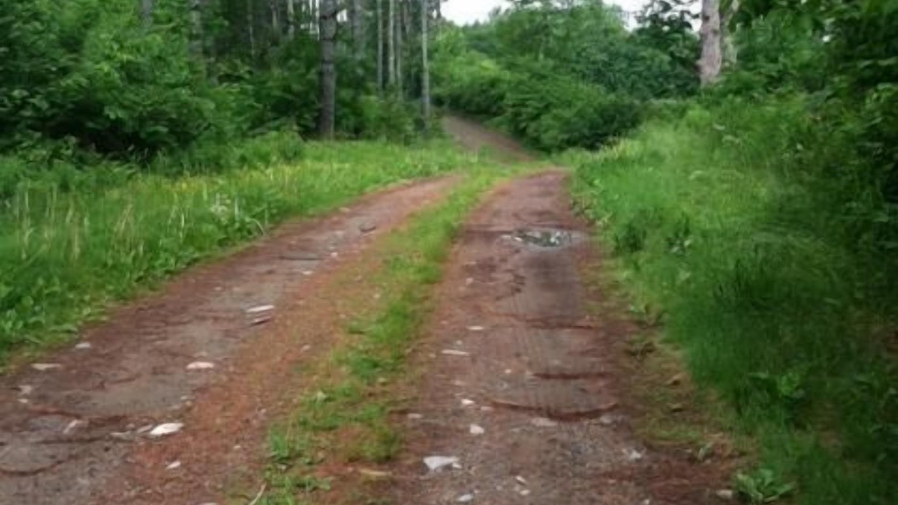 Photo of Others in Warren