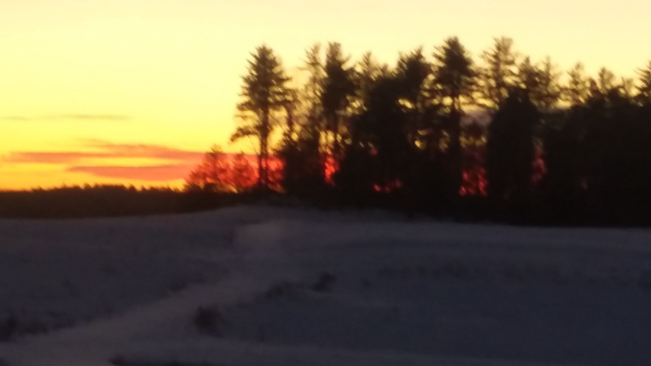 Photo of Others in Warren