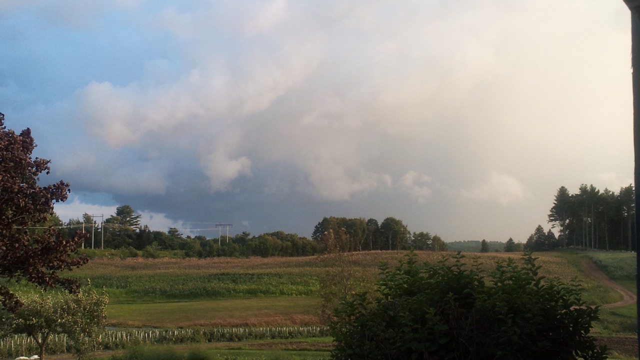 Photo of Others in Warren