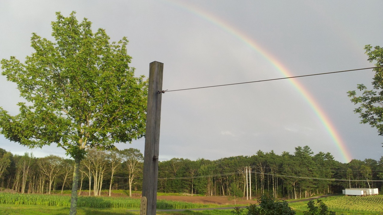 Photo of Others in Warren