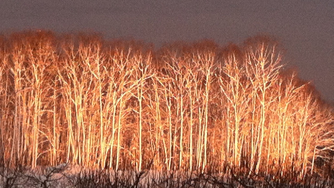 Photo of Others in Warren