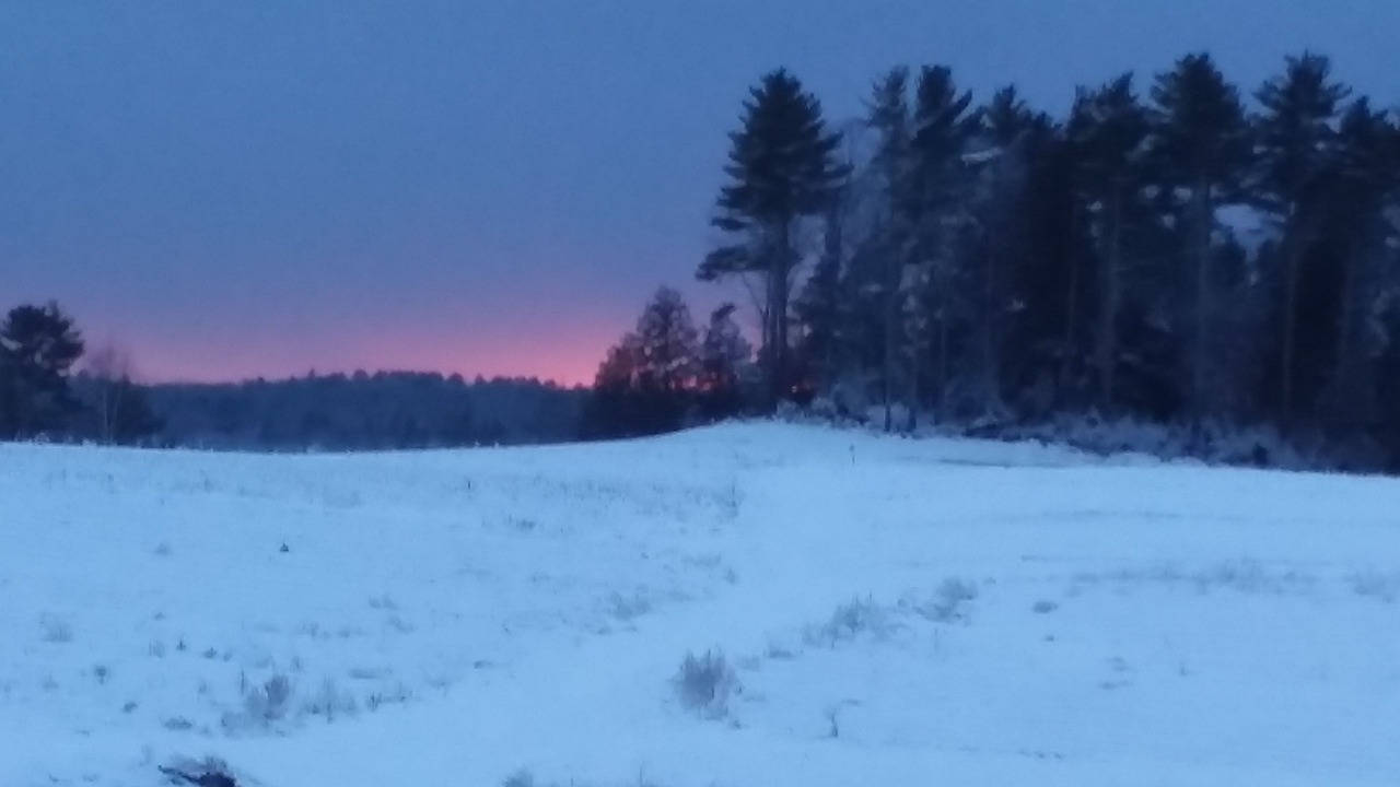 Photo of Others in Warren