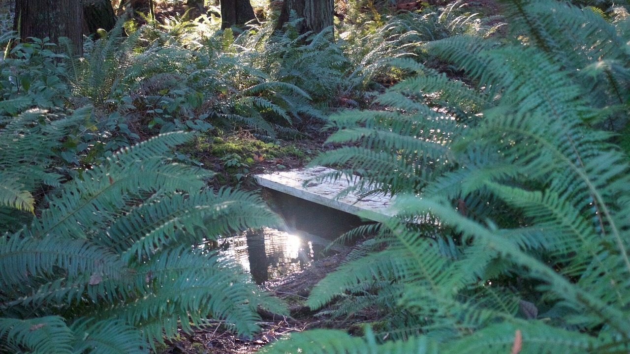 Photo of Others in Shelton