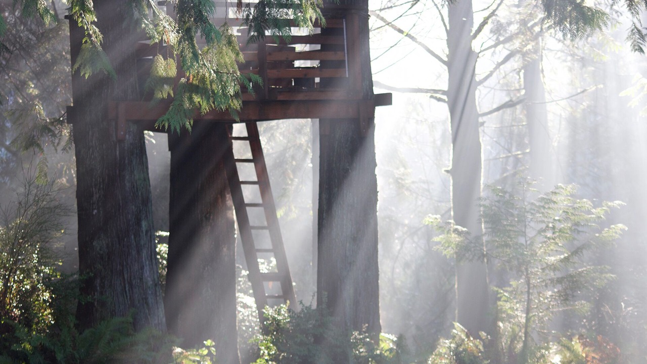 Photo of Others in Shelton