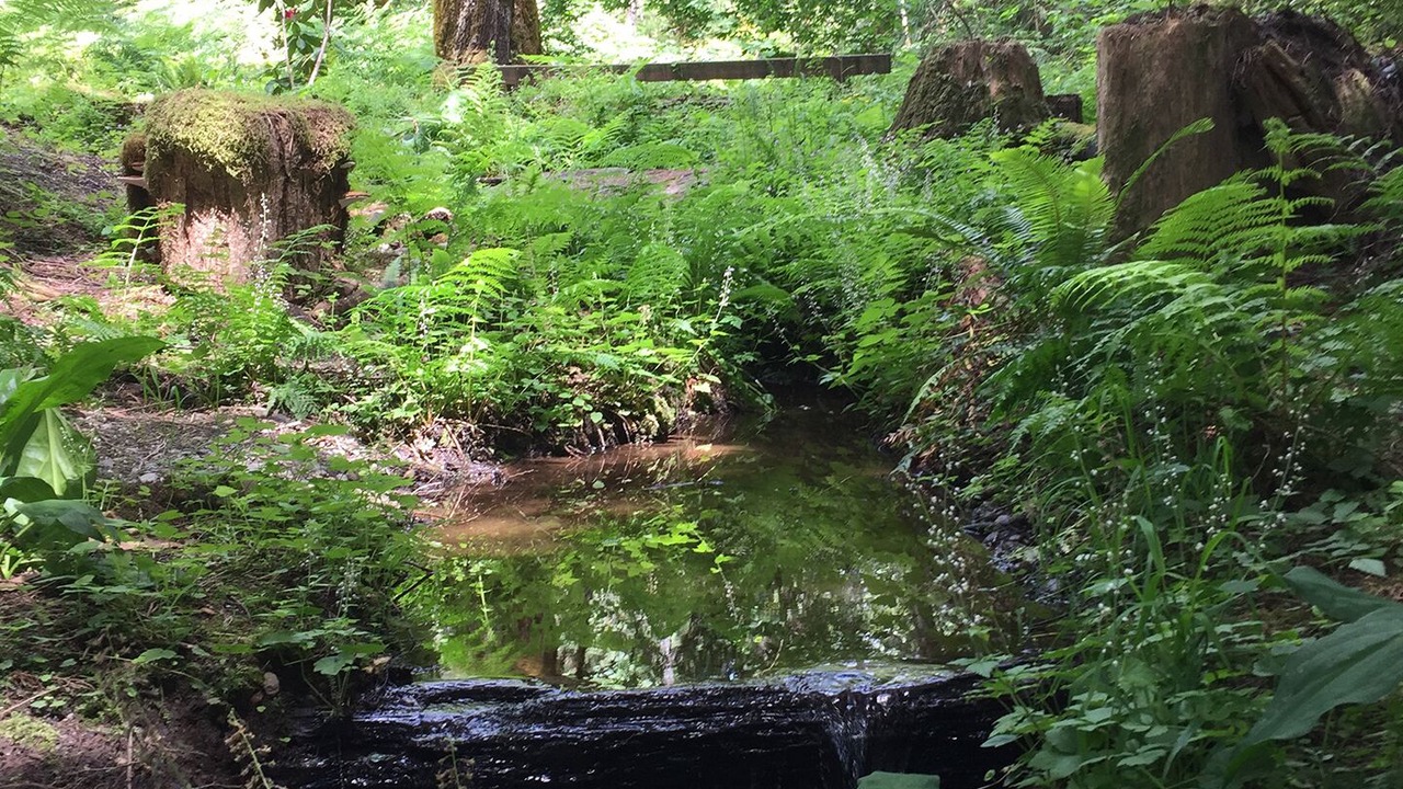 Photo of Others in Shelton