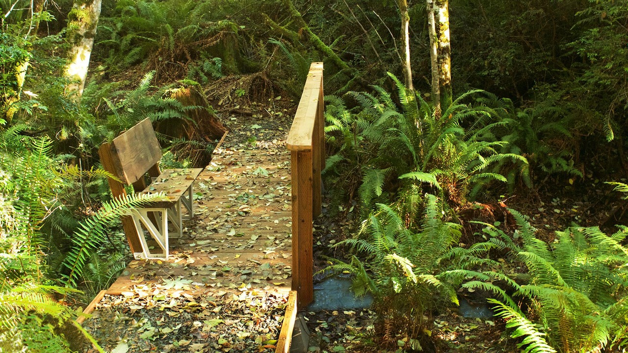 Photo of Others in Shelton