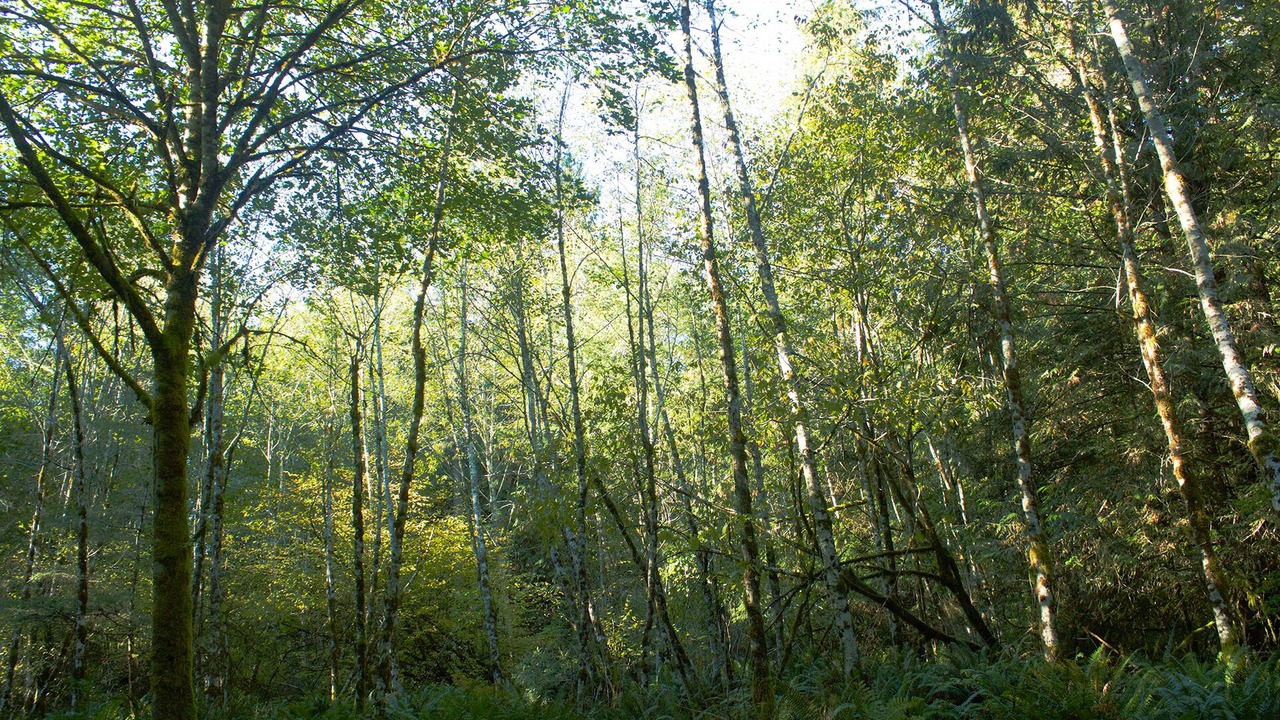 Photo of Others in Shelton