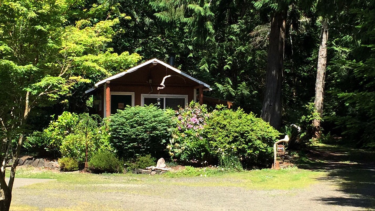 Photo of Others in Shelton