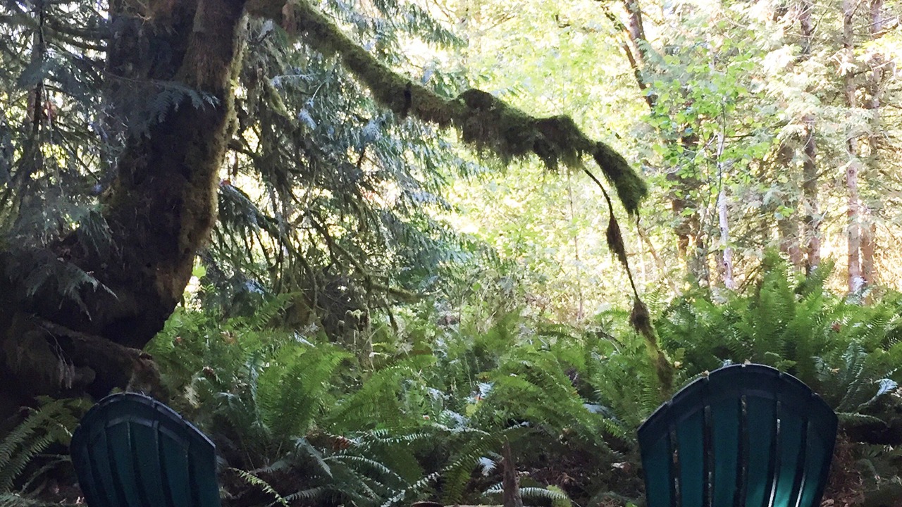 Photo of Others in Shelton