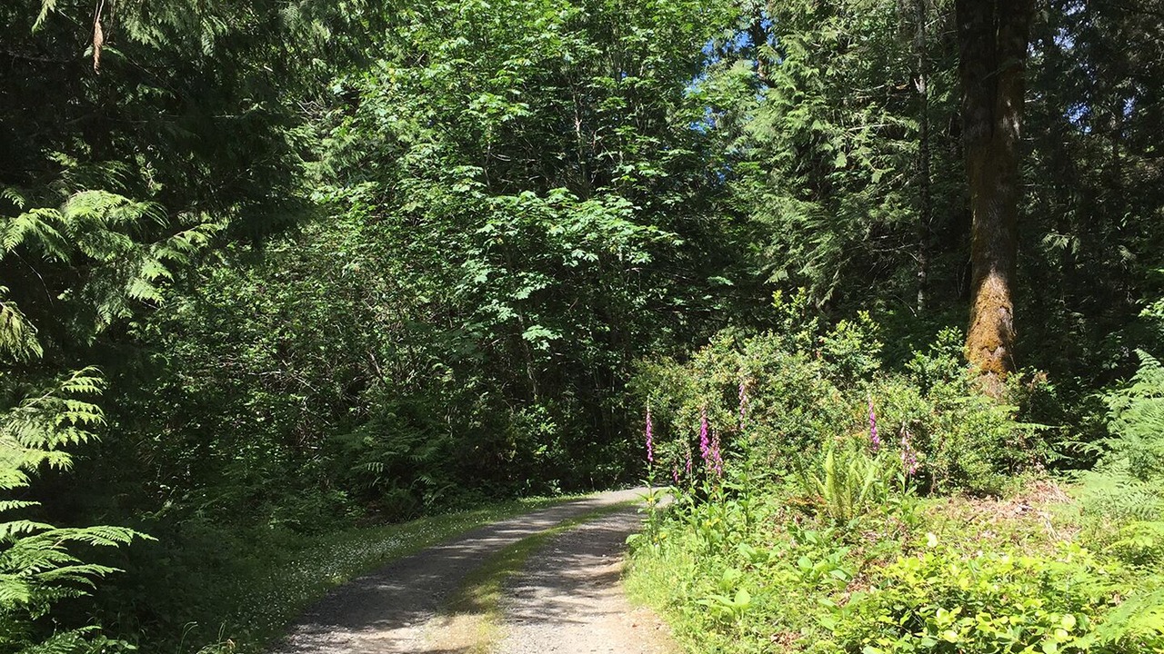 Photo of Others in Shelton