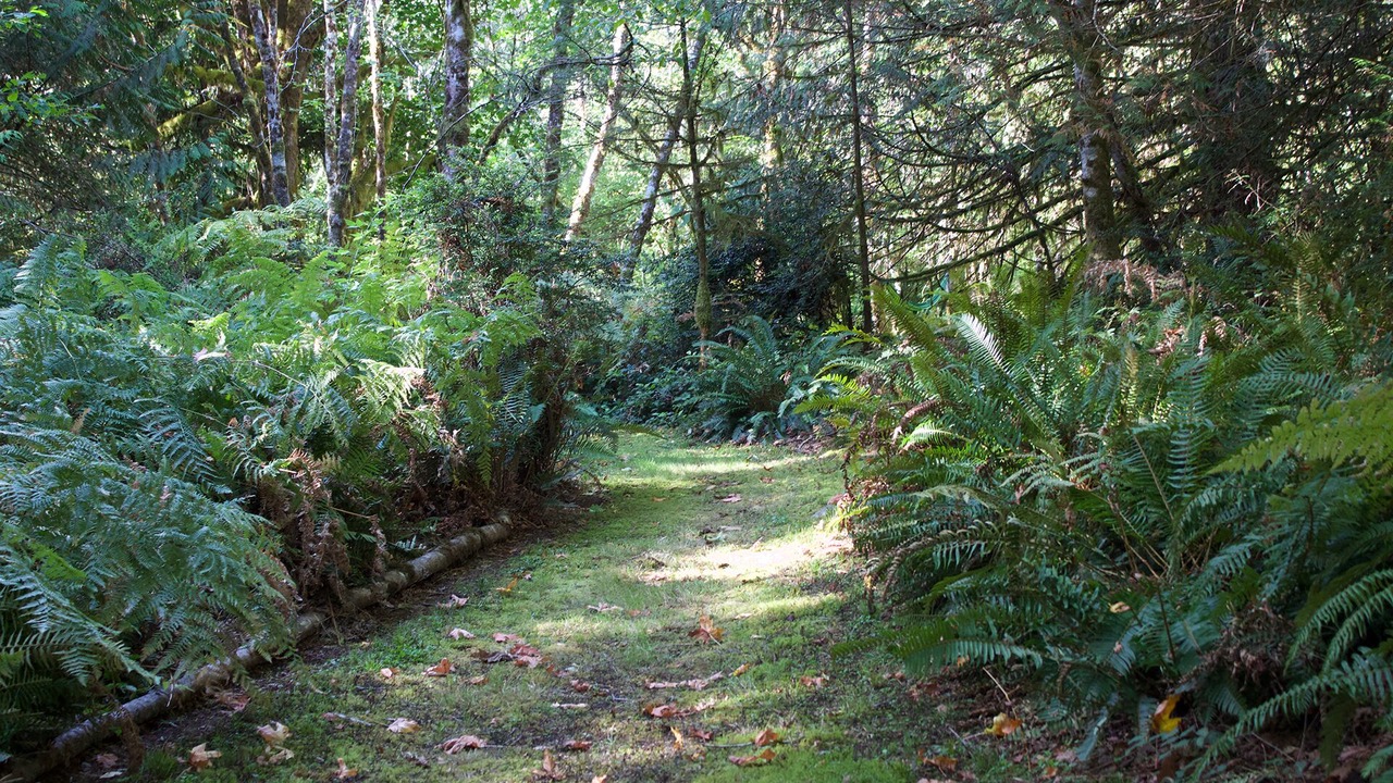 Photo of Others in Shelton