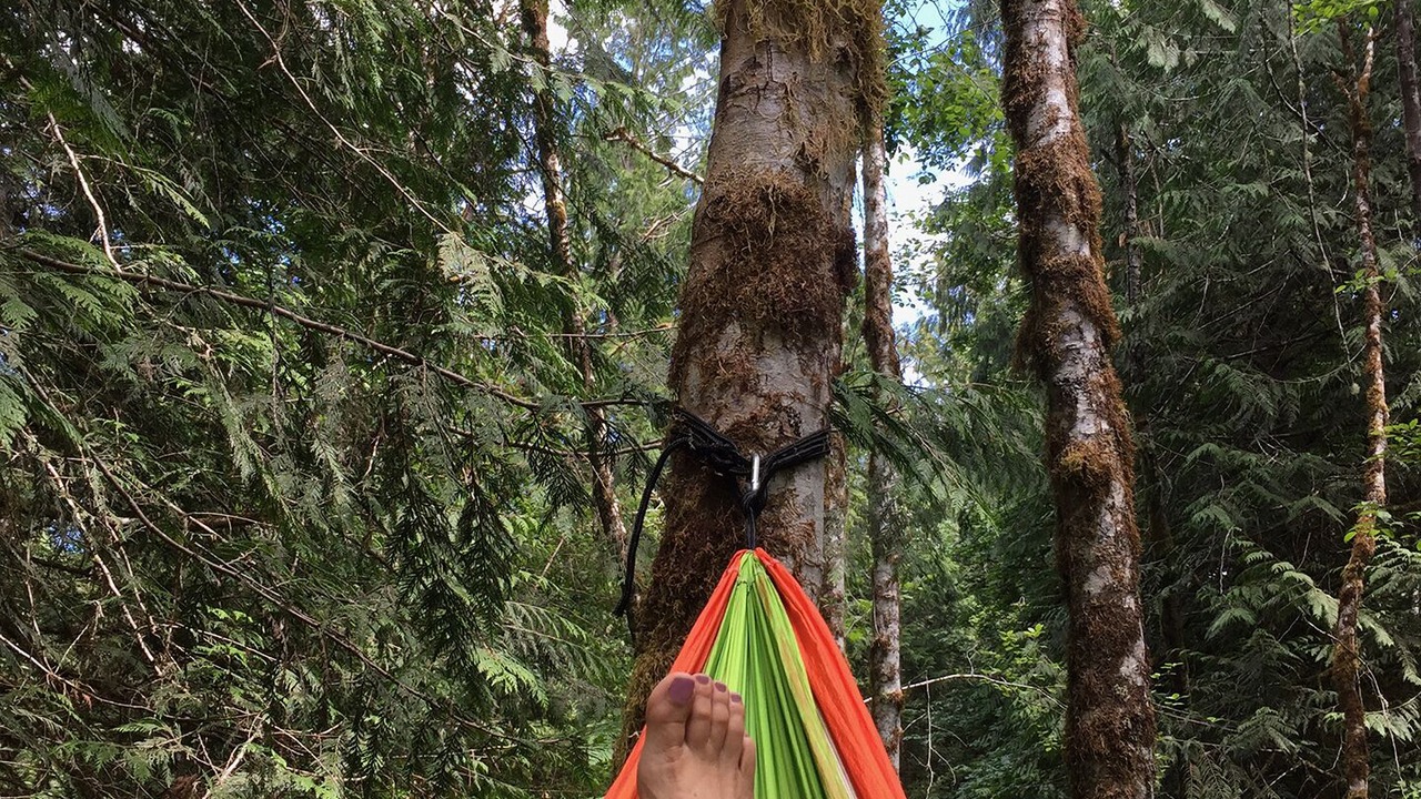 Photo of Others in Shelton