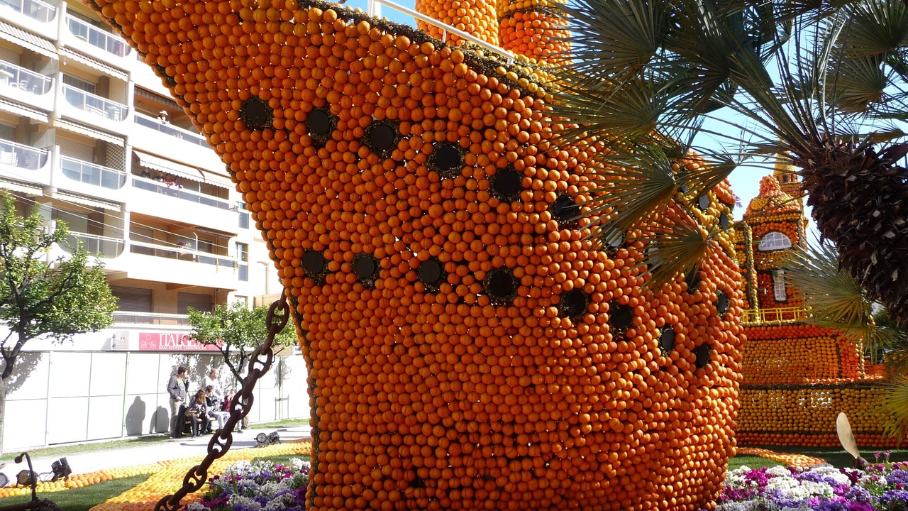 Photo of Outdoor in Cros-de-Cagnes